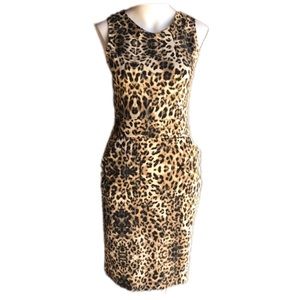Zara Leopard Print Dress - Brown and Black